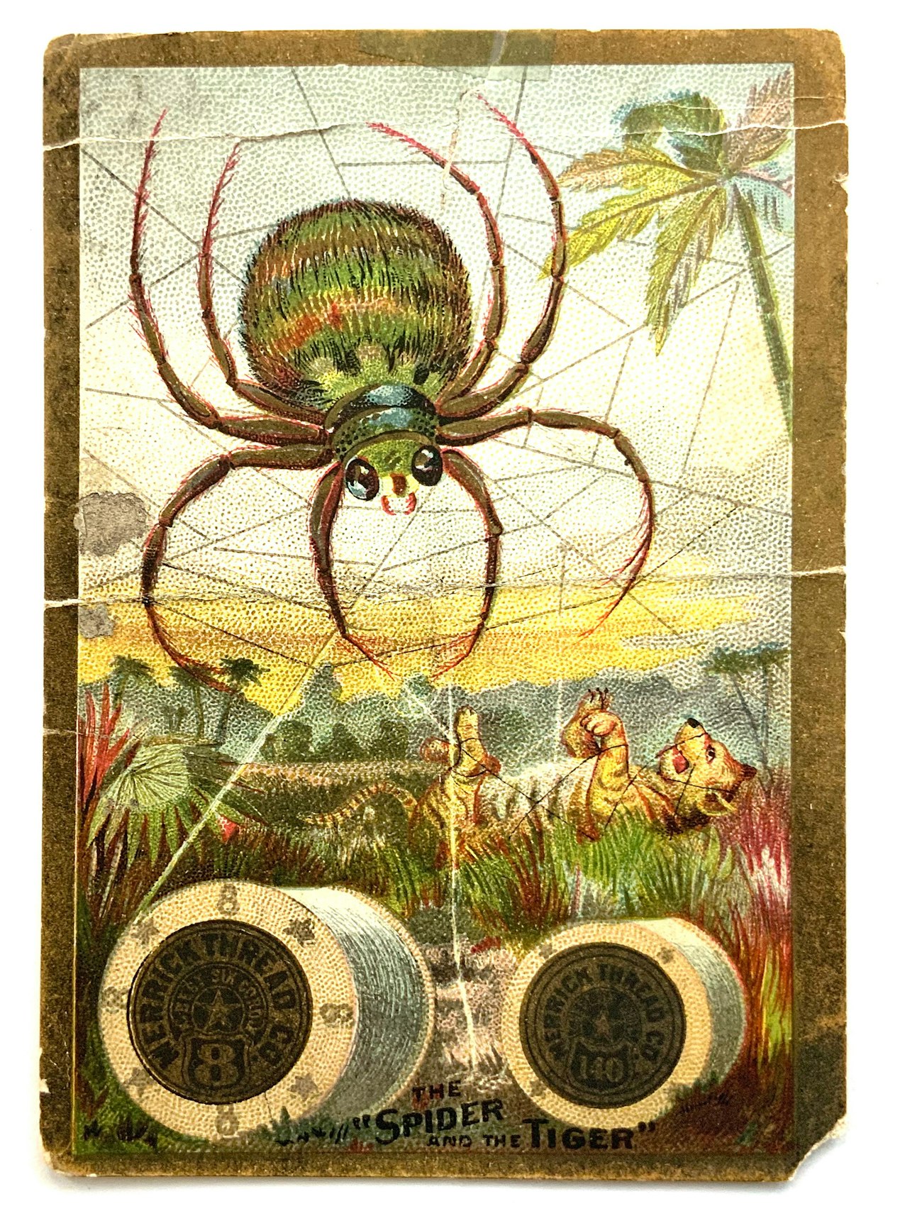 03-Spider-Card