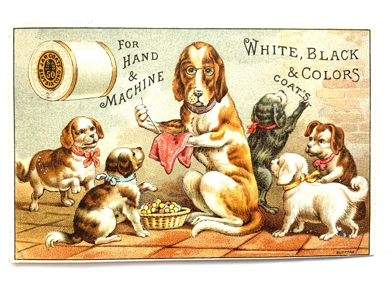 02-Dog-Card