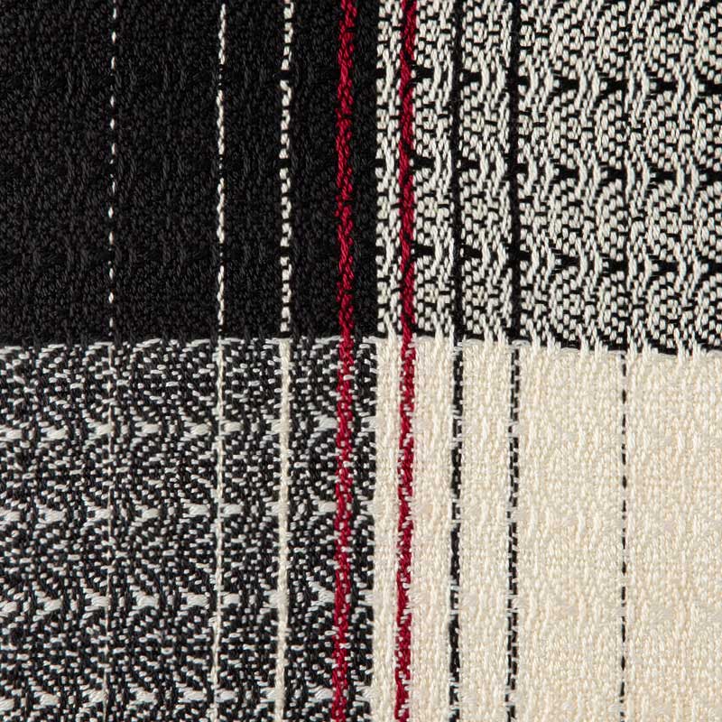 Fibonacci with a Twist | WIF Image