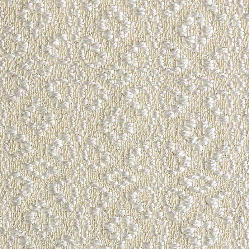 Amaryllis in Winter Scarf | WIF Image