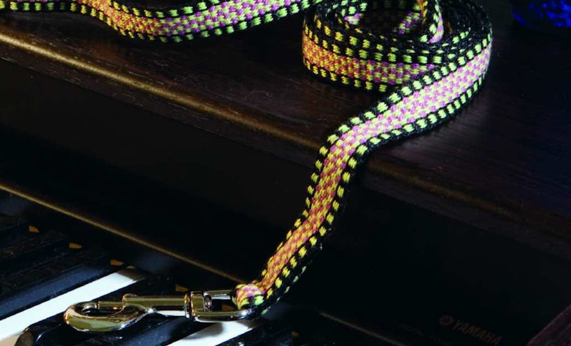 dog leash by Susan Weaver