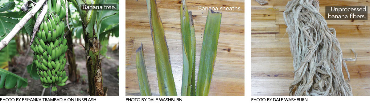 banana-fiber-2