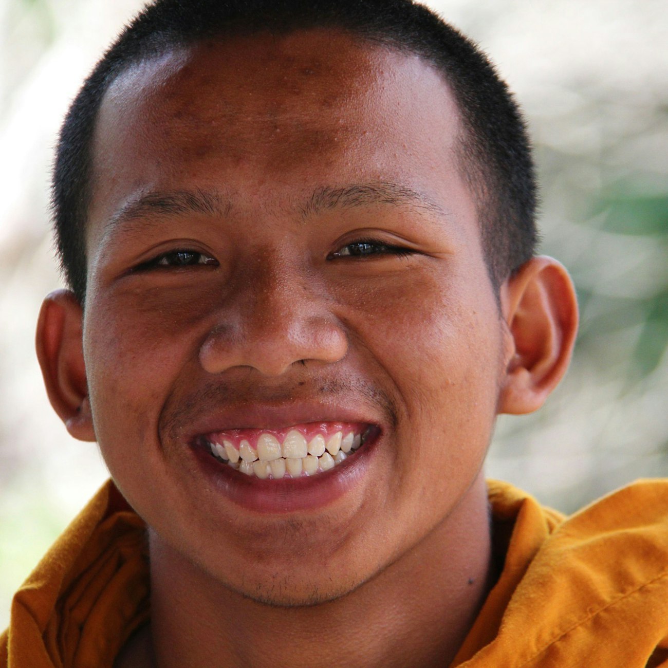 Pixabay-monk-s-teeth-inline
