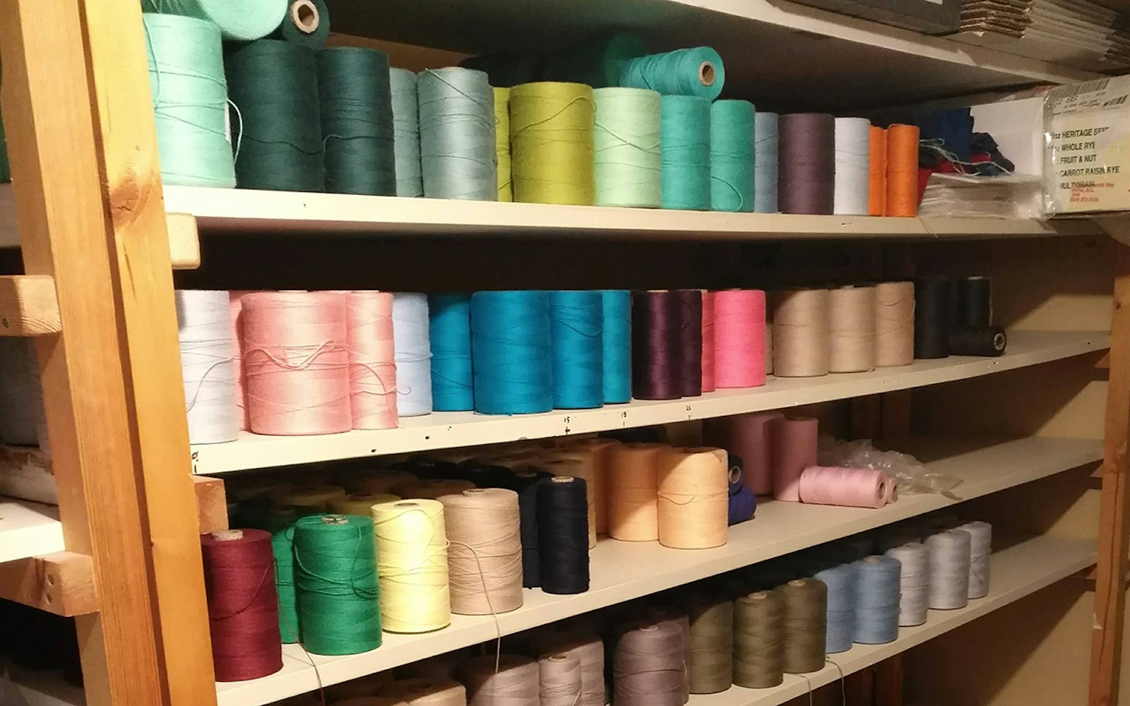 S.A.B.L.E.: Stash Acquired Beyond Life Expectancy Primary Image