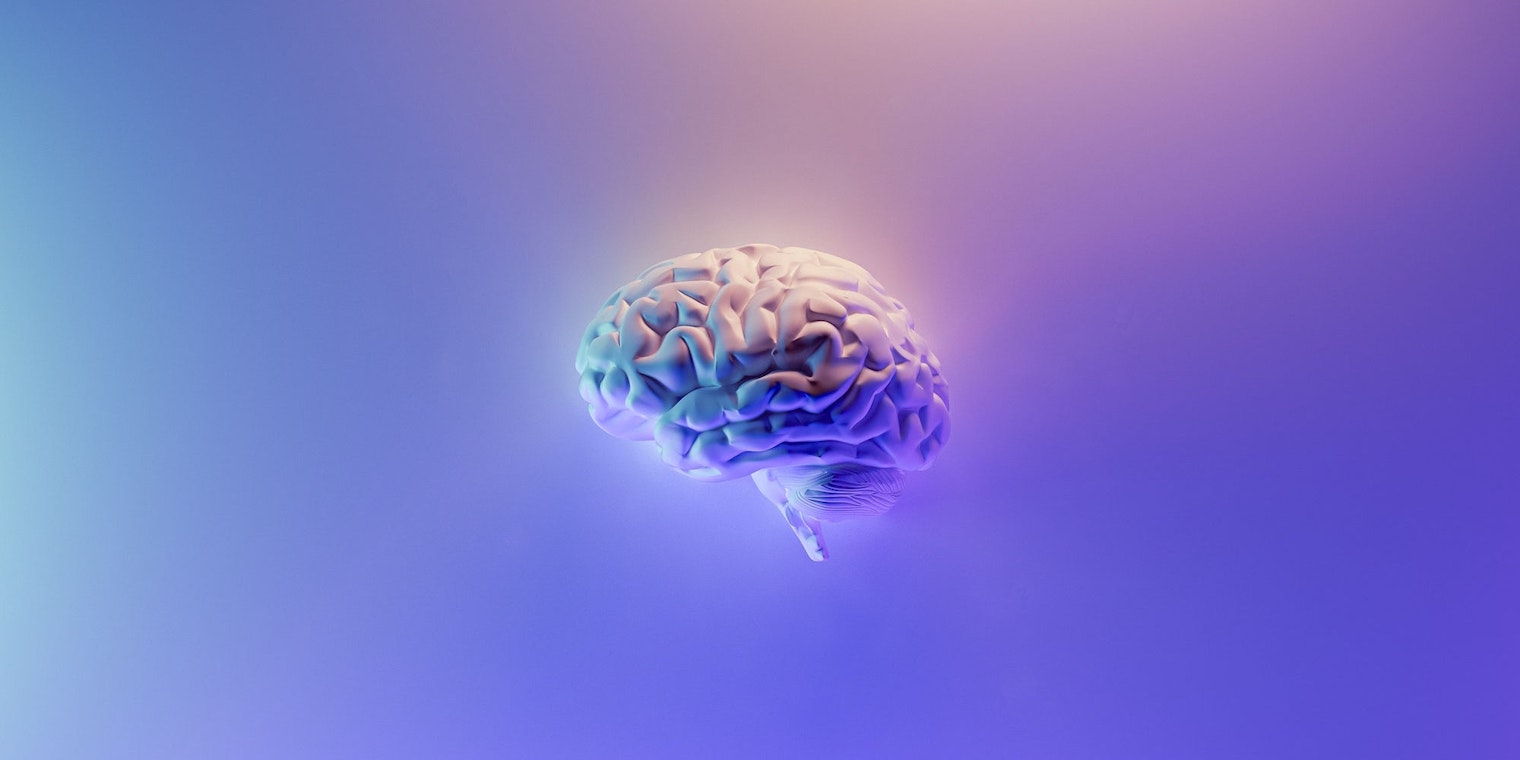 Brain