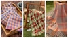 Weaving in the Gloom of Summer Image