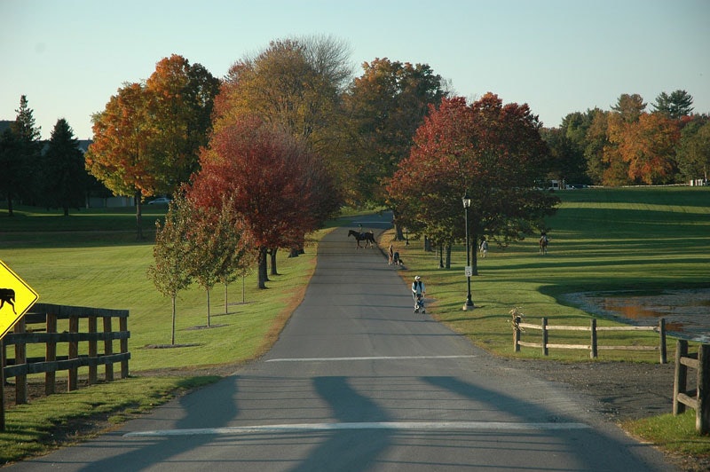 greenfield-86924_1280-CROP
