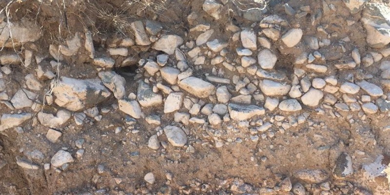 Desert soil with large, white cobbles. Photo by Shawn Salley