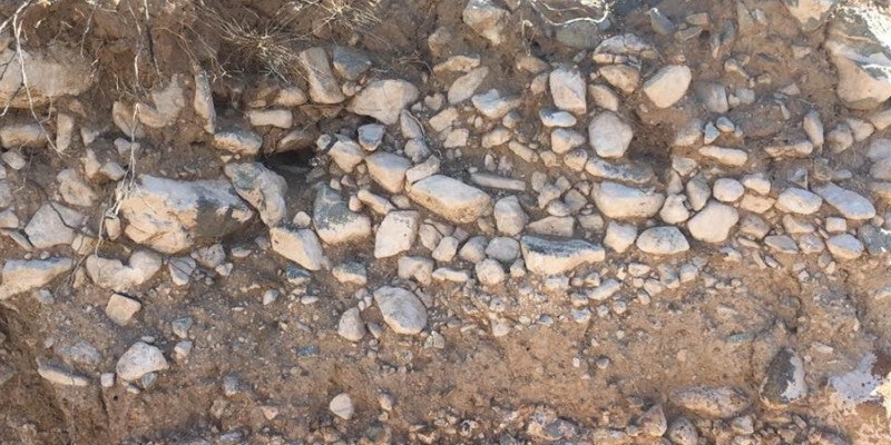 Desert soil with large, white cobbles. Photo by Shawn Salley