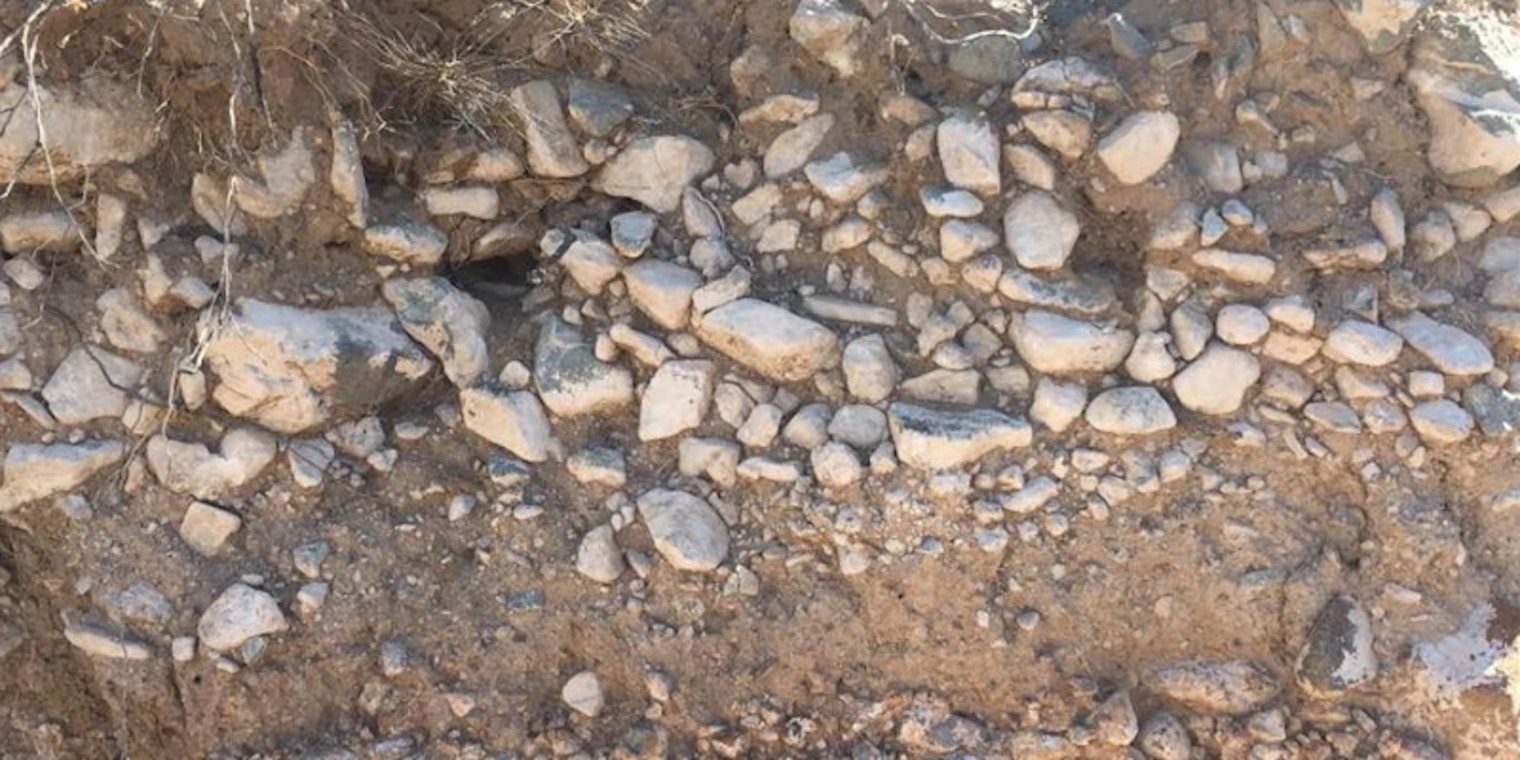 Desert soil with large, white cobbles. Photo by Shawn Salley