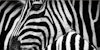 All Warps are Either Solid or Striped – A Glossary of Stripes Image