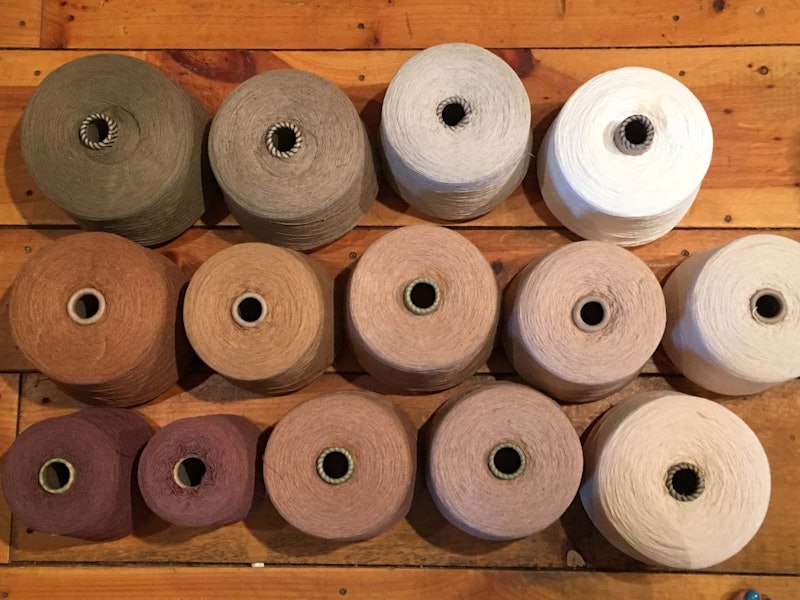Color-grown cotton bounty