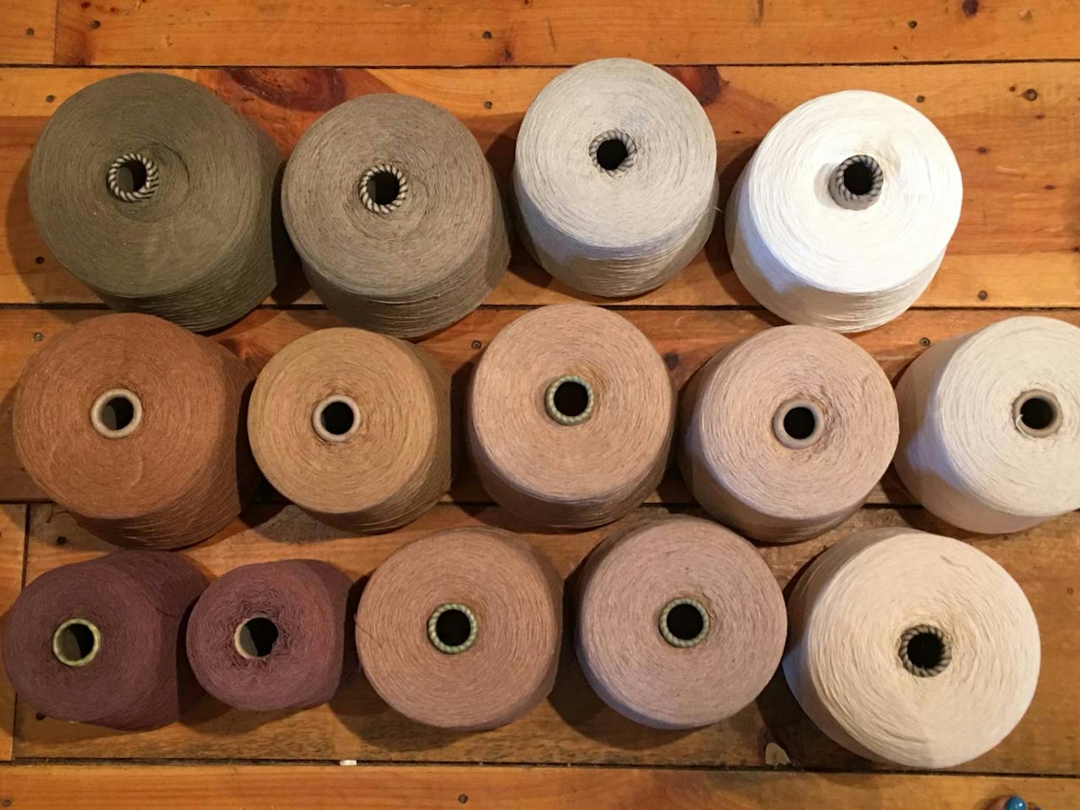 Color-grown cotton bounty