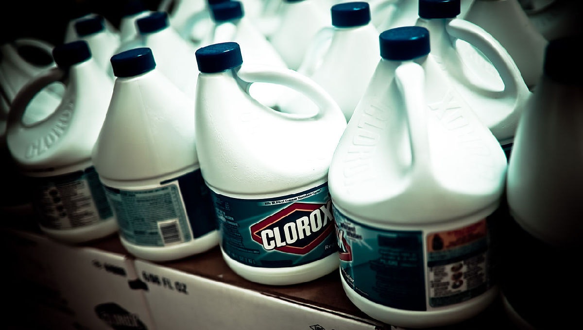 Bleach_Header