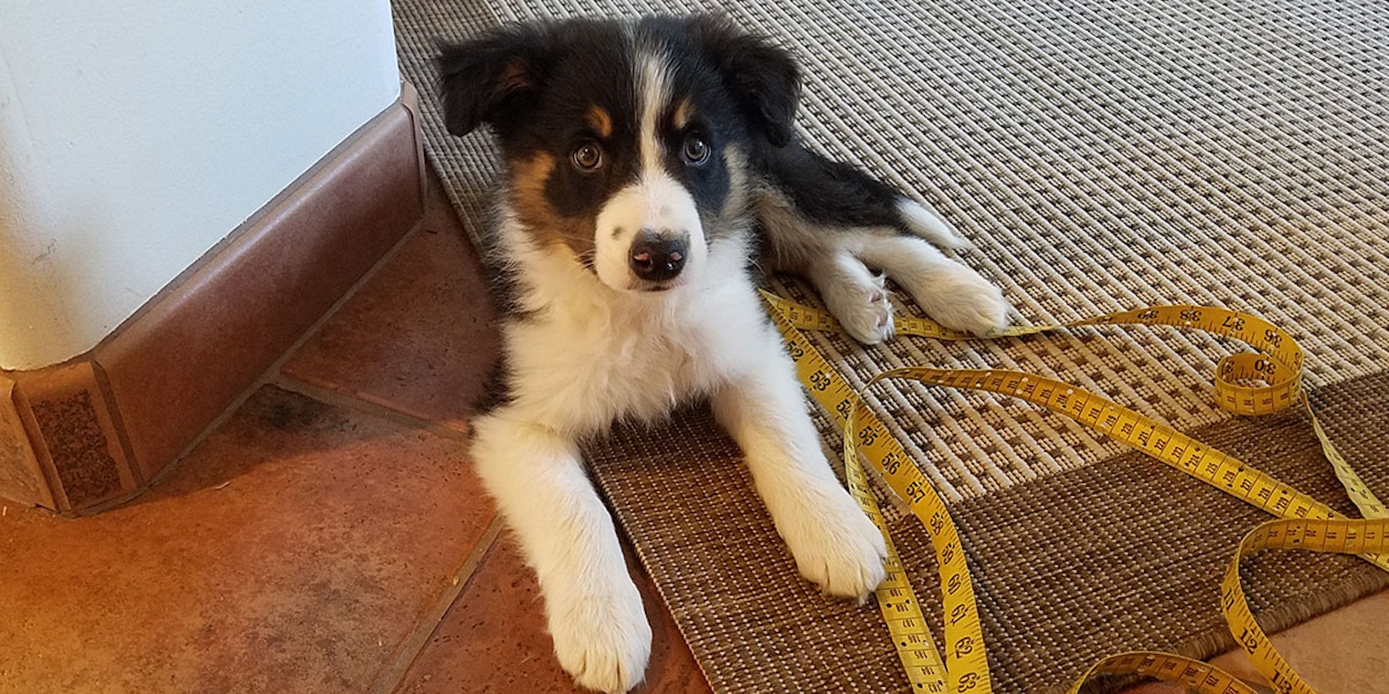 Deacon helping measure projects for Little Looms. 
