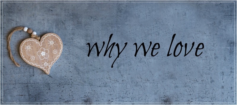 why we love 4_800x400