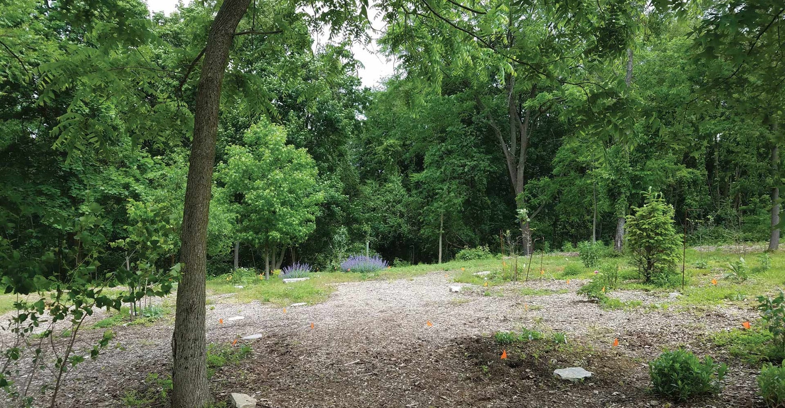 Notes From the Fell: Shrouds to Die For Primary Image