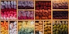 A Weaver's Guide to Yarn Image