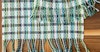 Idea Gallery: Using a Warp  as a Blank Canvas Image