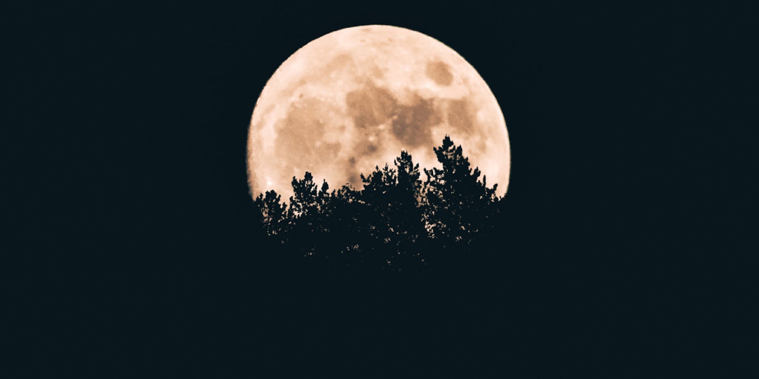 Moon in night sky