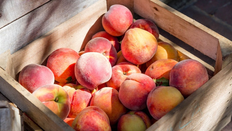 Peach_header