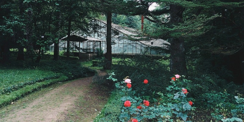 rose path