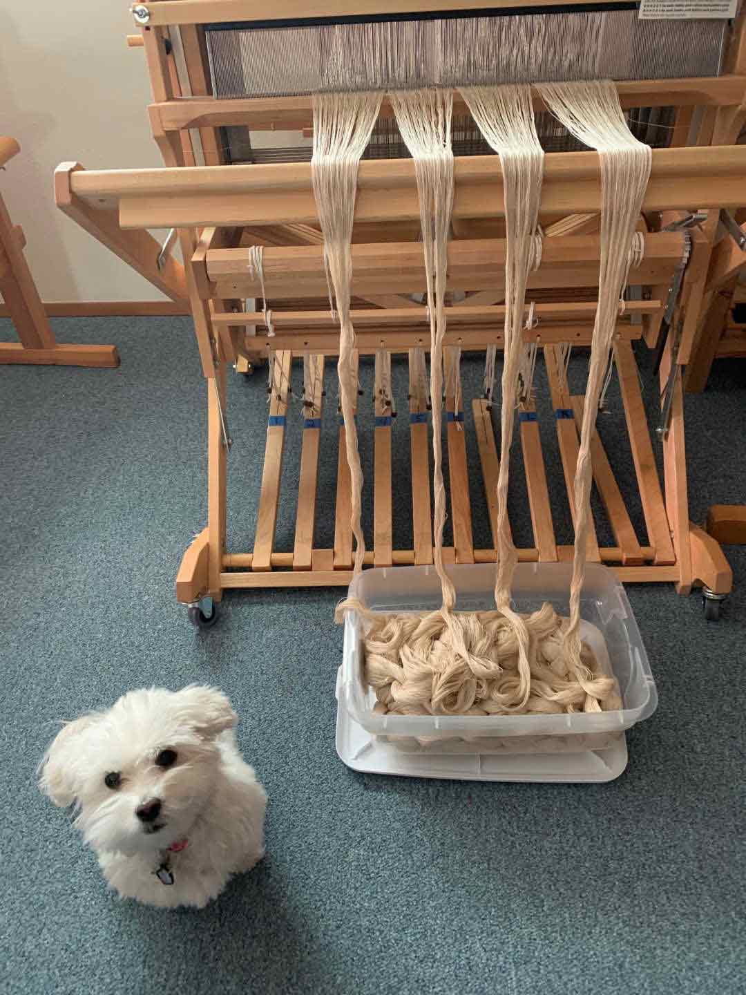 Madelyn Loom Warp Chains