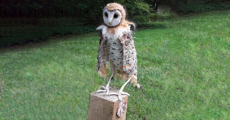 molly-the-barn-owl-1