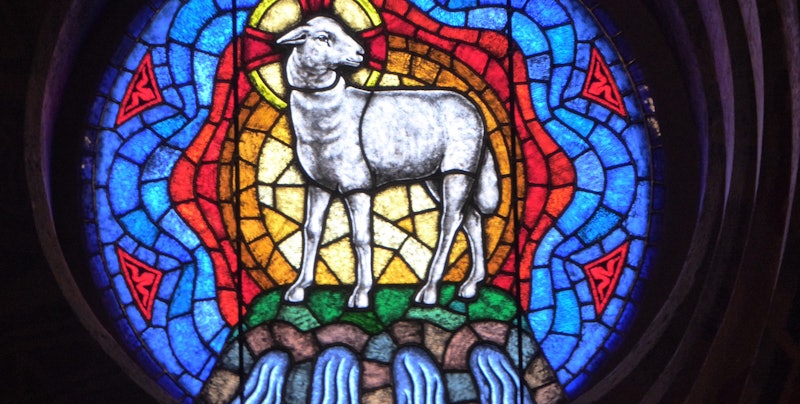 steve-sharp-lamb unsplash