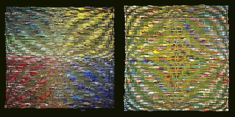 HW_Plastic_Trees_800x400