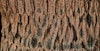 8-Shaft Draft for Bark Cloth Vest Image