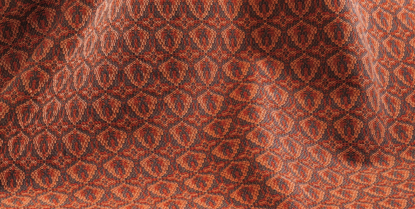 Acorn Upholstery Fabric by Elyse Rogers Primary Image