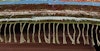 4-Strand Braid Edging Image