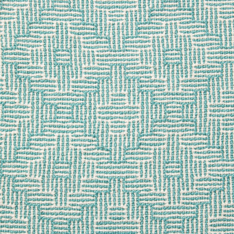 Fraternal Twins | WIF Image