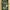 Masas Spring Green: A Kumihimo Neckpiece Primary Image