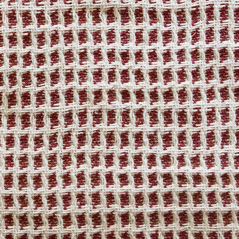 Lather  Up! | WIF Image