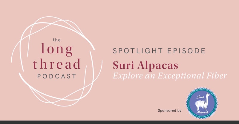 Bonus Episode: Suri Alpacas