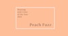 What's all the Fuzz About? The 2024 Color of the Year:  Peach Fuzz! Image