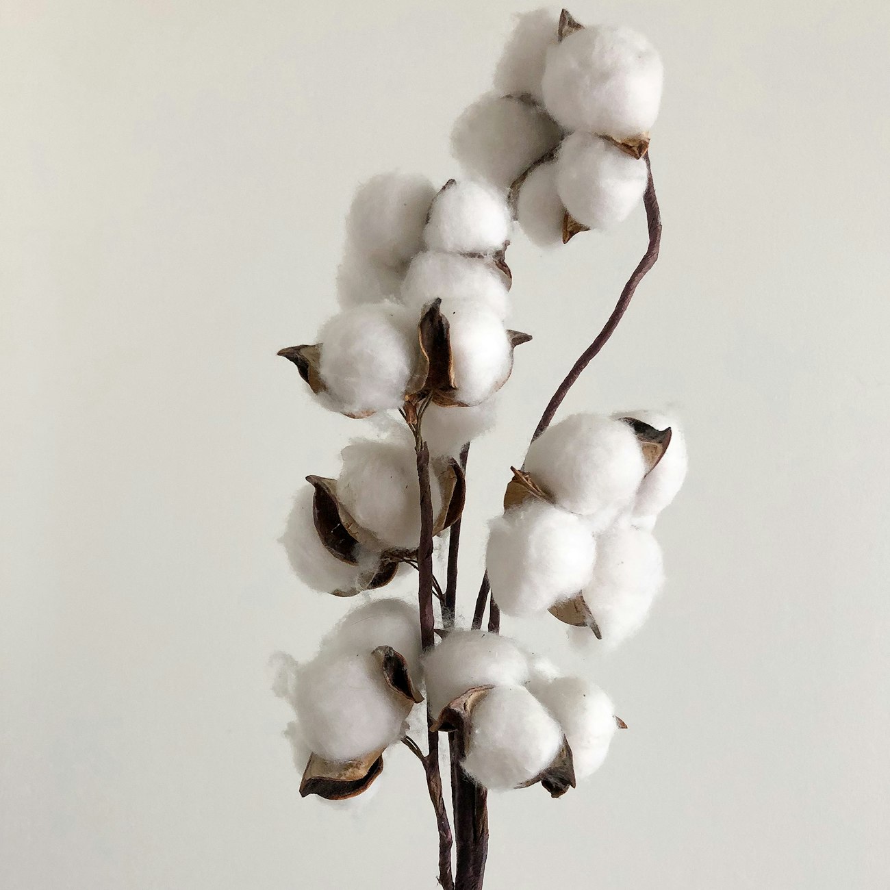 Is Linen Stronger When It’s Wet? Handwoven