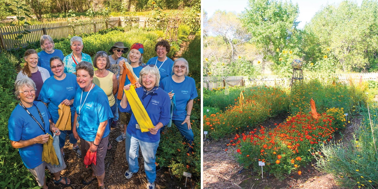 Left, people in blue tees standing in a garden; right, a colorful dye garden