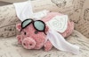 Make a Stuffed Pig That Can Fly Image