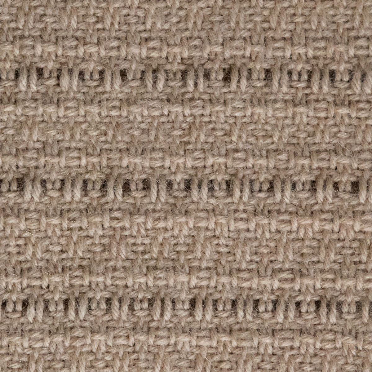 Alpaca in Your Lap Blanket | WIF Image