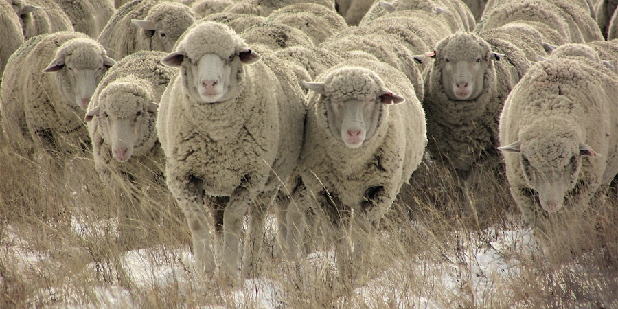 14 Woolly Projects, Just in Time for Winter Image