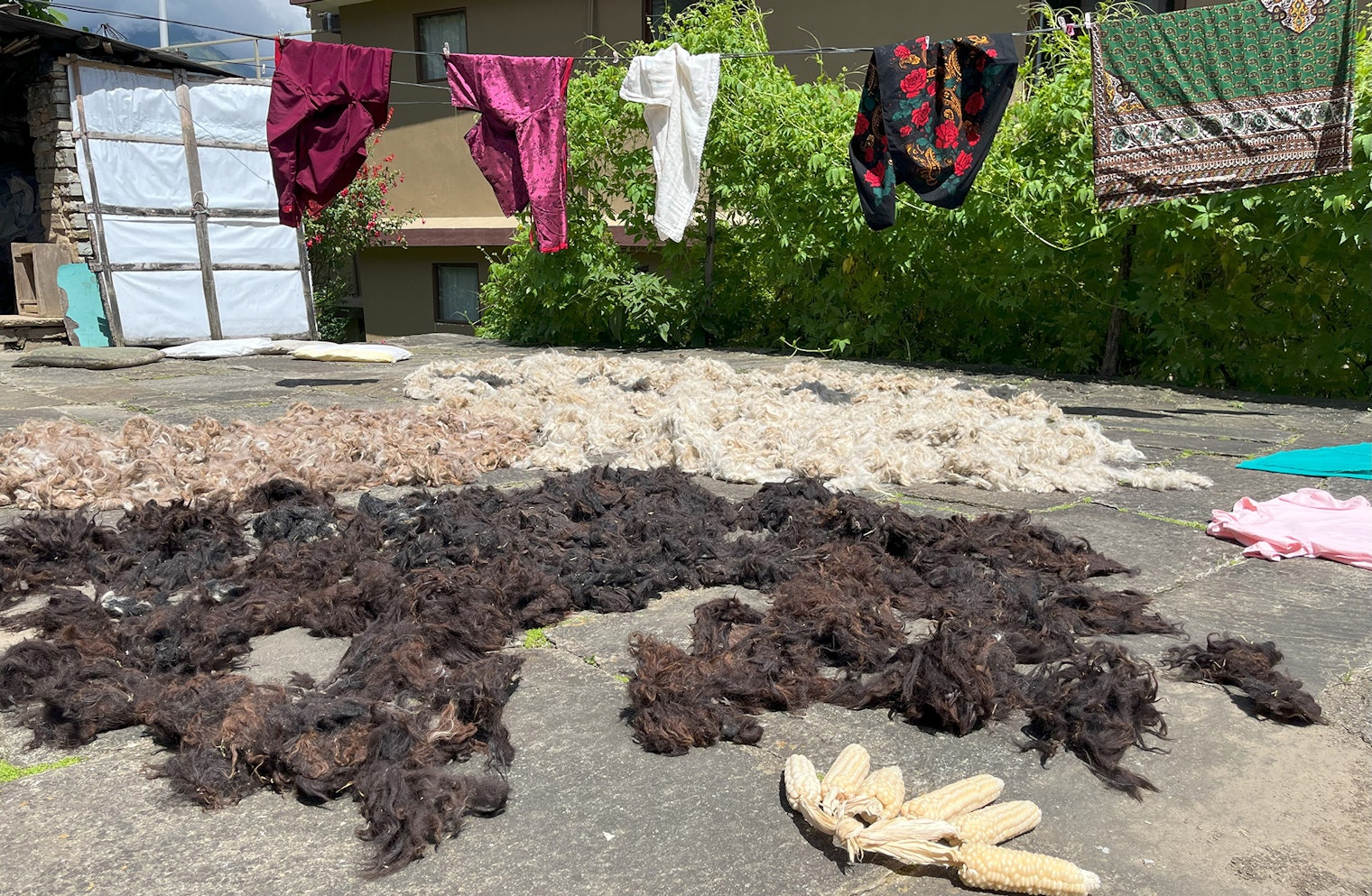 Newly washed wool dries in the courtyard between Purnima’s house and the small shed where she spins and weaves. On a sunny day, residents of Ghandruk take advantage by drying laundry as well as vegetables from gardens.