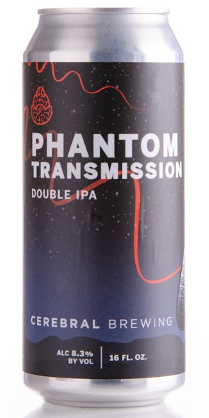 Cerebral Phantom Transmission Image