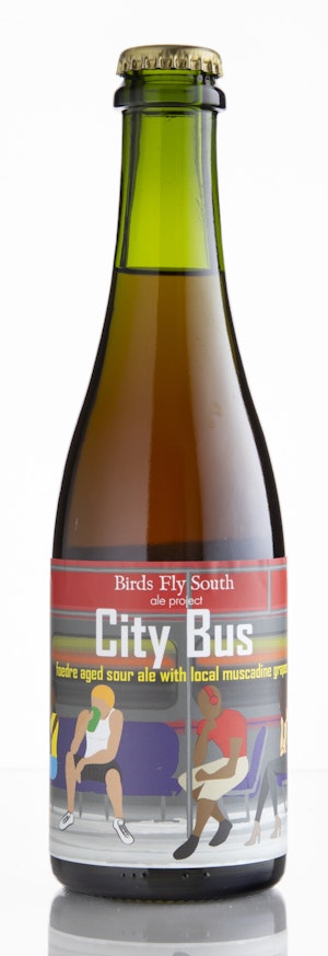 Birds Fly South  City Bus Image