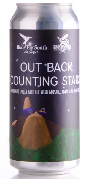 Birds Fly South Ale Project Out Back Counting Stars Image