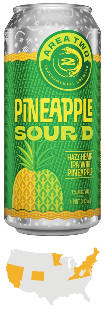 Area Two Experimental Brewing Pineapple Sour DImage