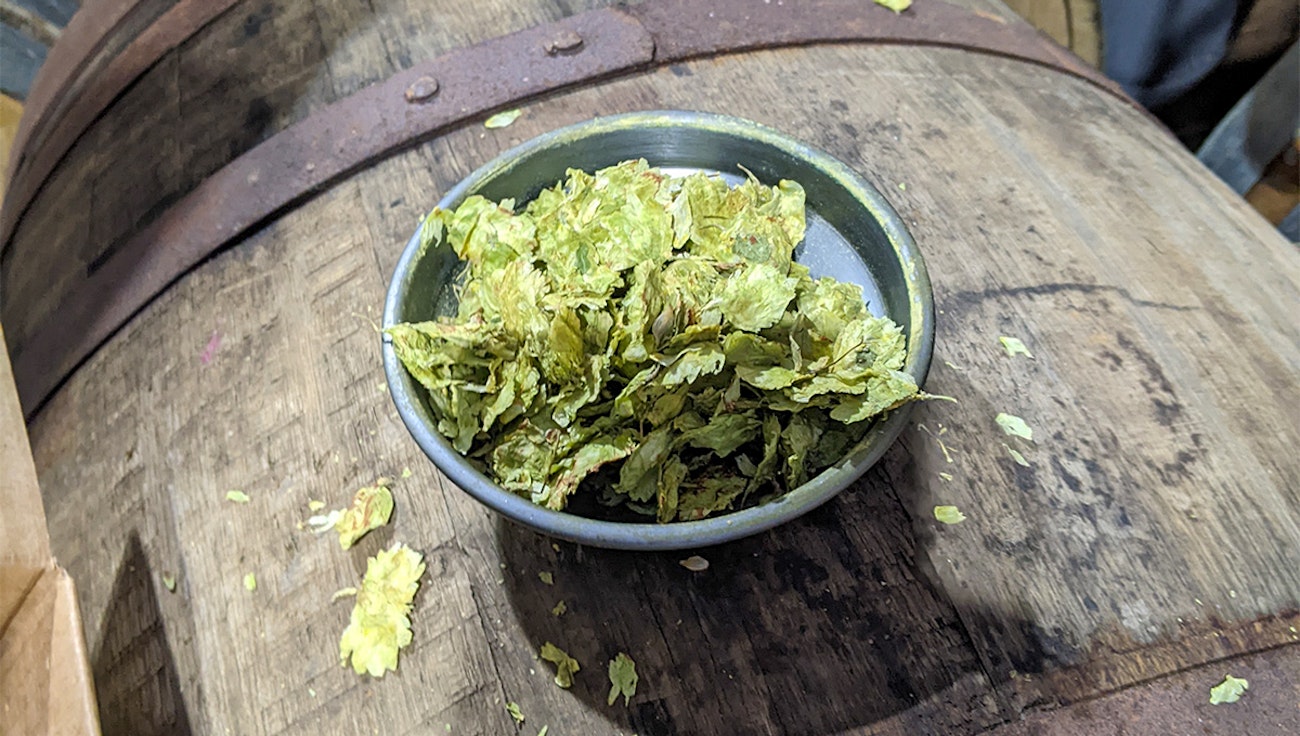 hops in stock ale-2