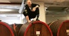 Metamodern Tastes in Country Beer, Part I: Eik & Tid Image